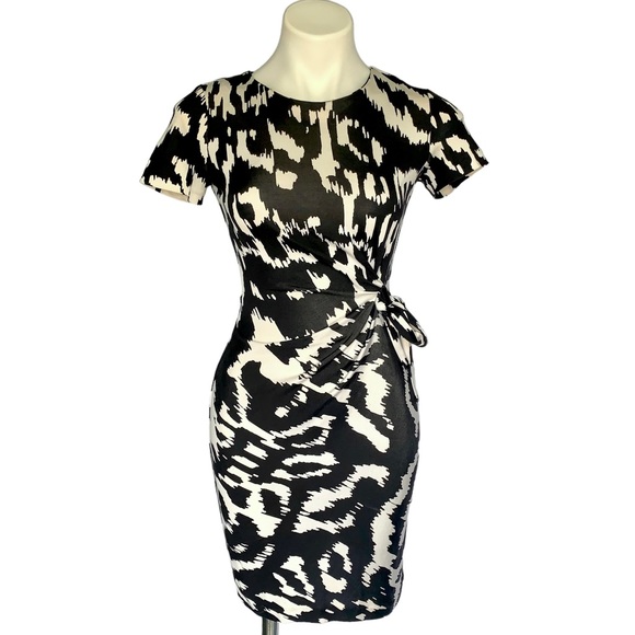 Diane von Furstenberg Zoe Silk Ikat Tie-Belt Wrap Dress - Picture 2 of 12